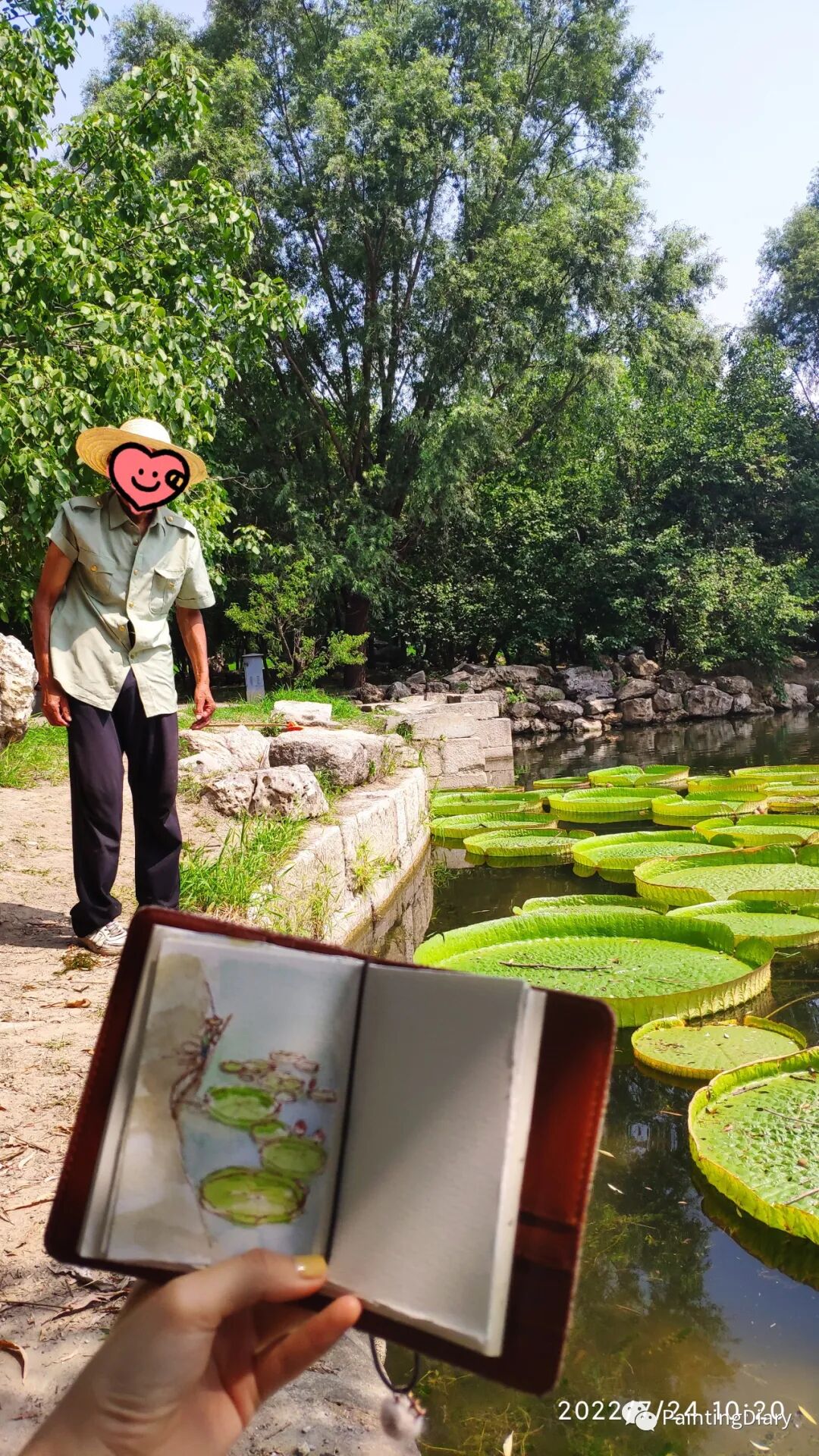 圆明园荷花节写生！