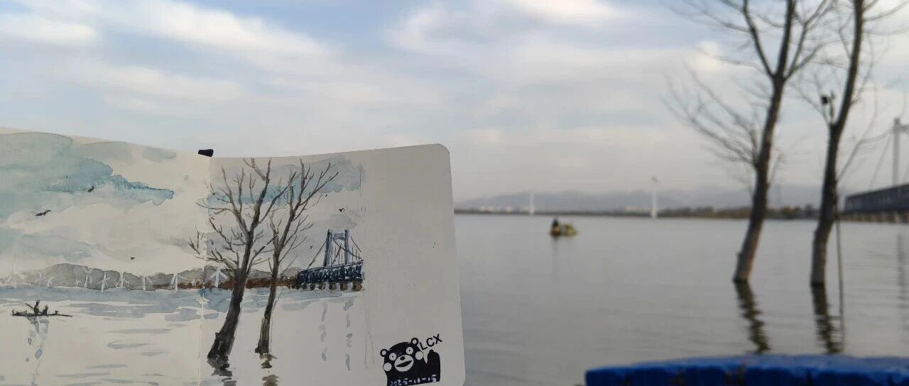 cover_image
